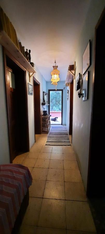 Ecer Pansiyon Kuşadası Buitenkant foto