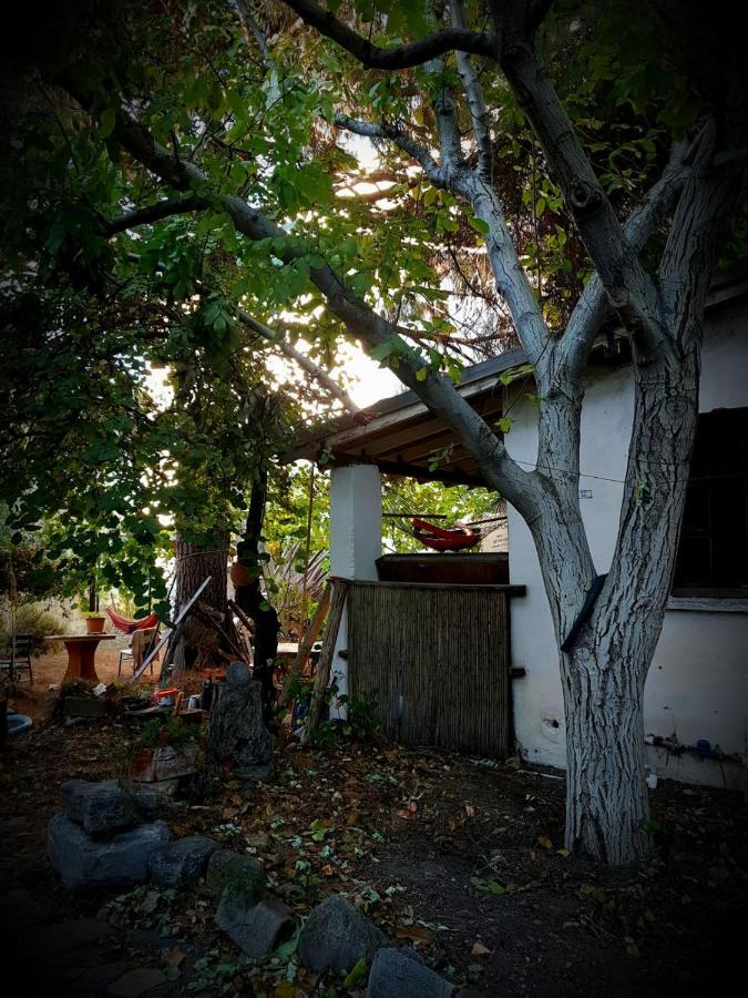 Ecer Pansiyon Kuşadası Buitenkant foto