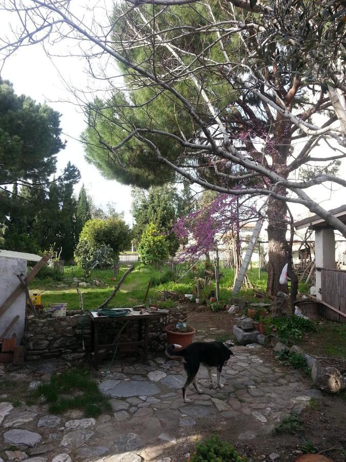 Ecer Pansiyon Kuşadası Buitenkant foto