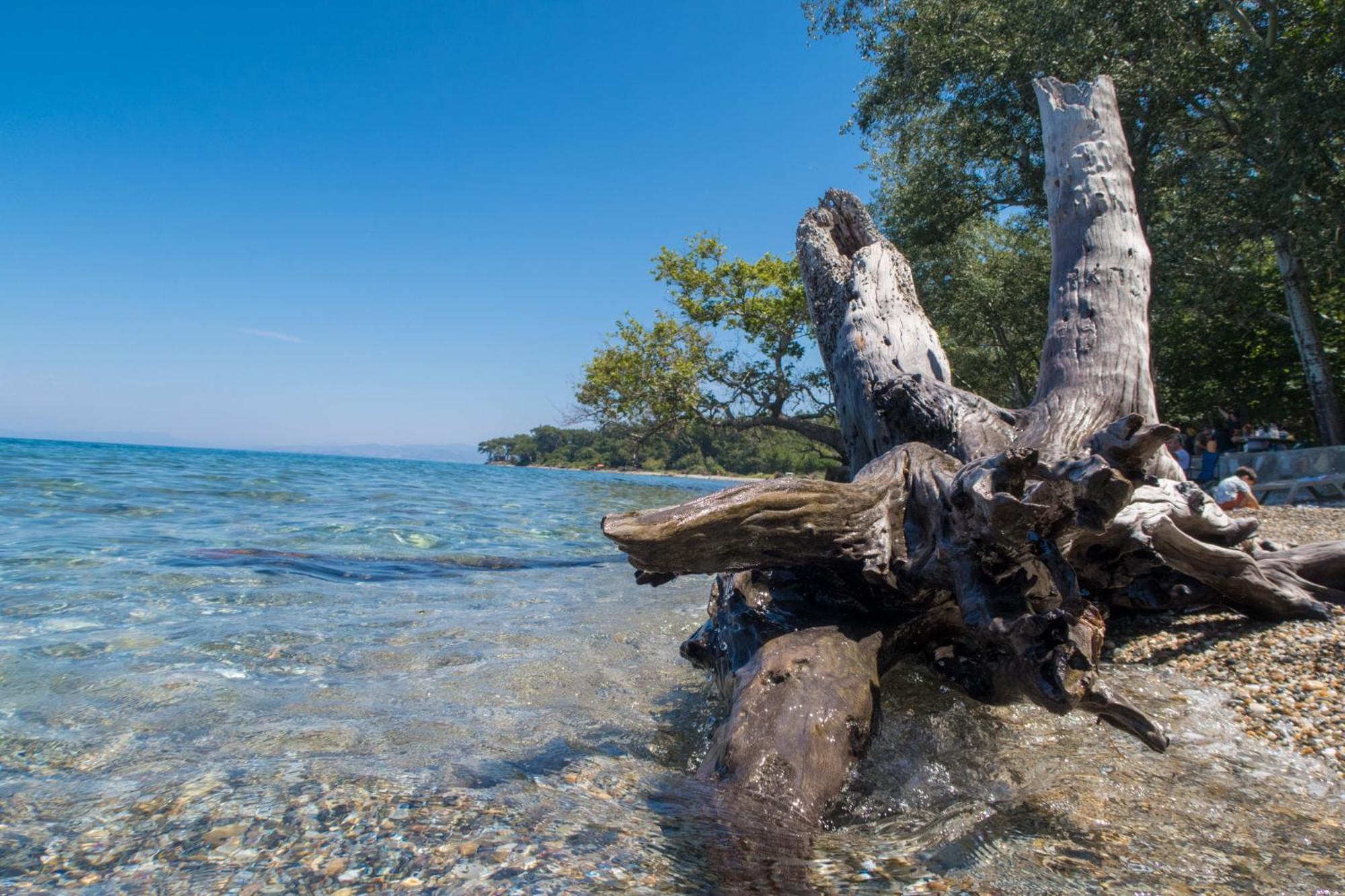 Ecer Pansiyon Kuşadası Buitenkant foto